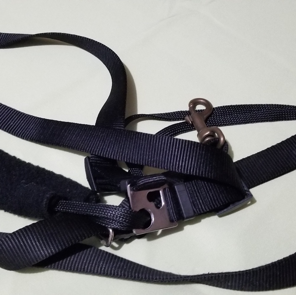 Dog harness